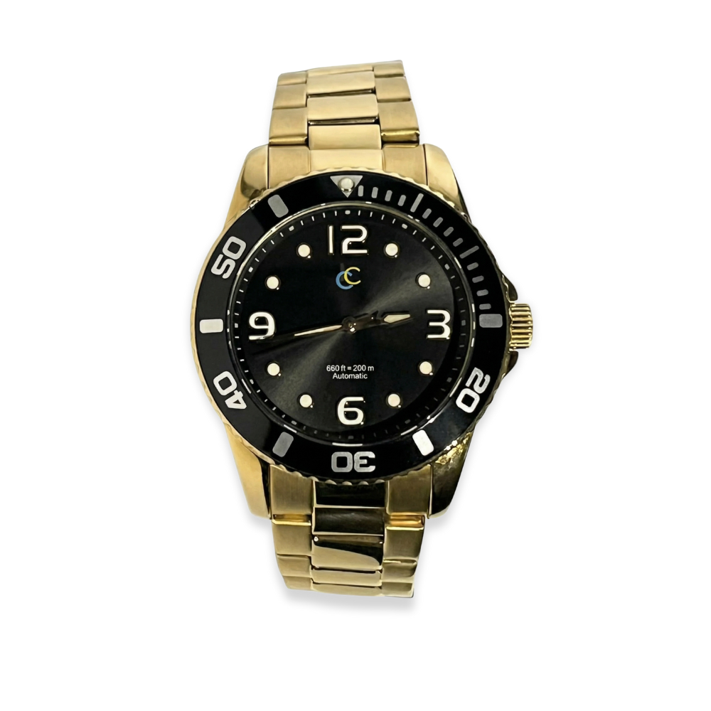 40MM Dive Style Watch Sapphire Crystal